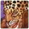 Favonreush's picture