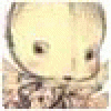 VerkonemKit's picture