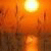 Larezerd's picture