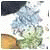 agrohimgax's picture