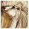 Antoniozjg's picture