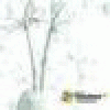 Karloshpv's picture