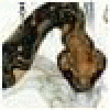 GreogaNix's picture