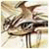 GreogaNix's picture